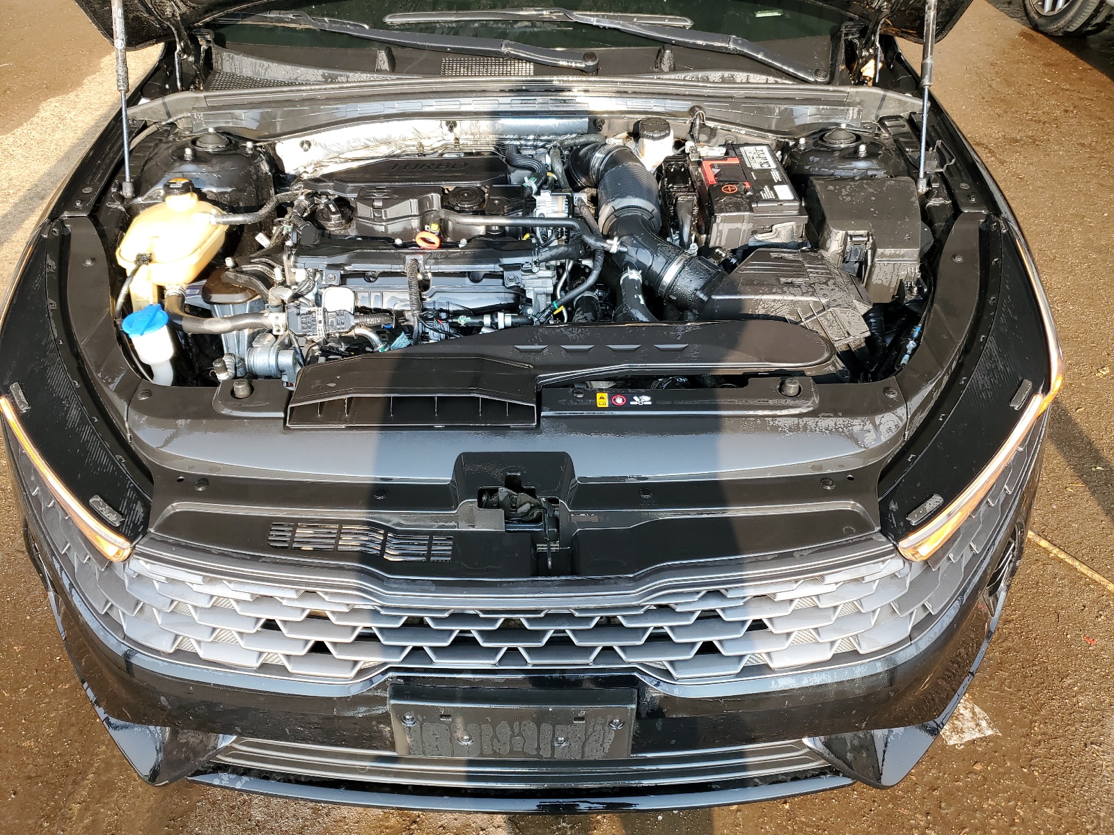 5XXG14J29PG221642 2023 Kia K5 Lxs