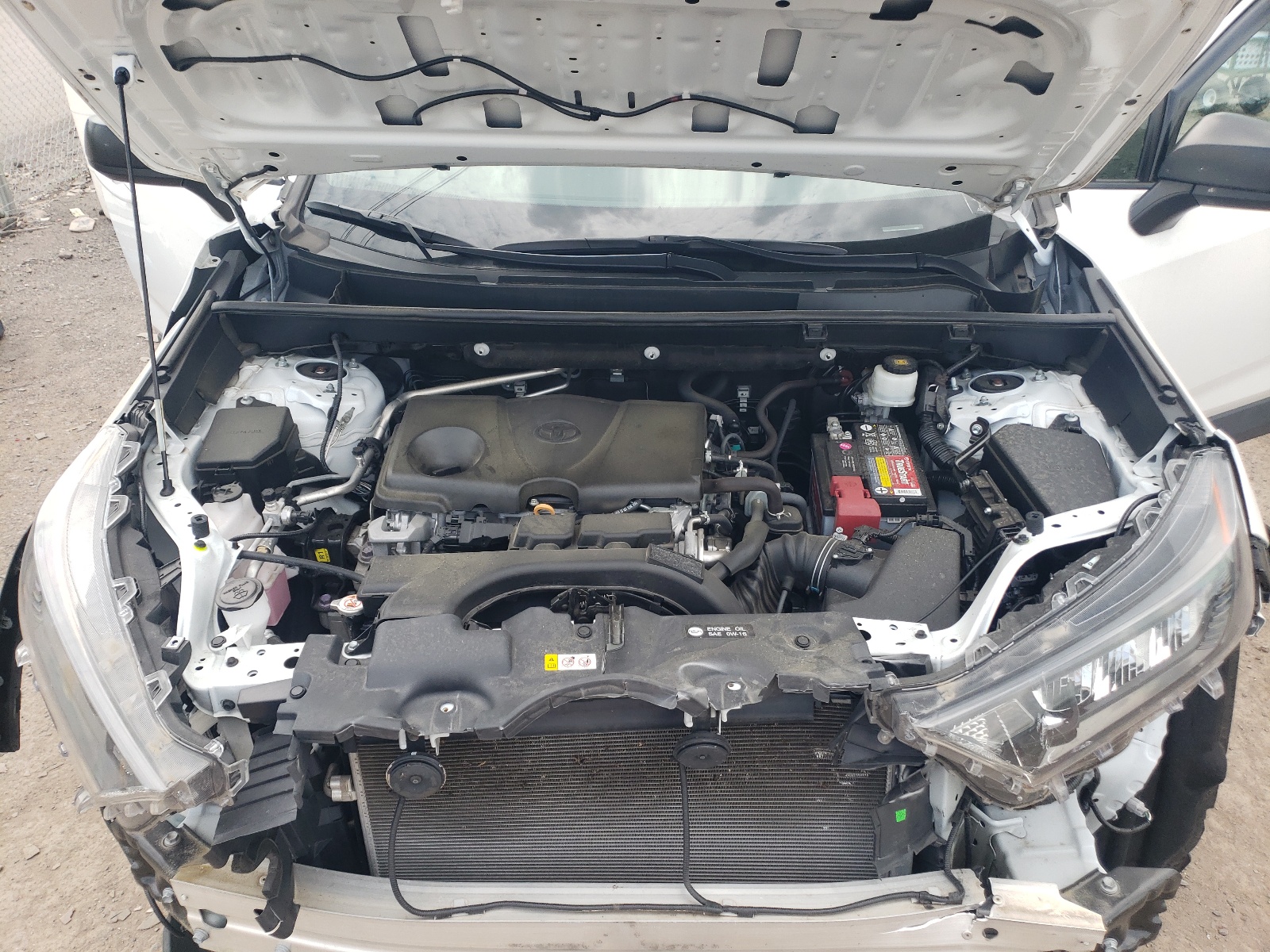 2T3H1RFV9KW037067 2019 Toyota Rav4 Le