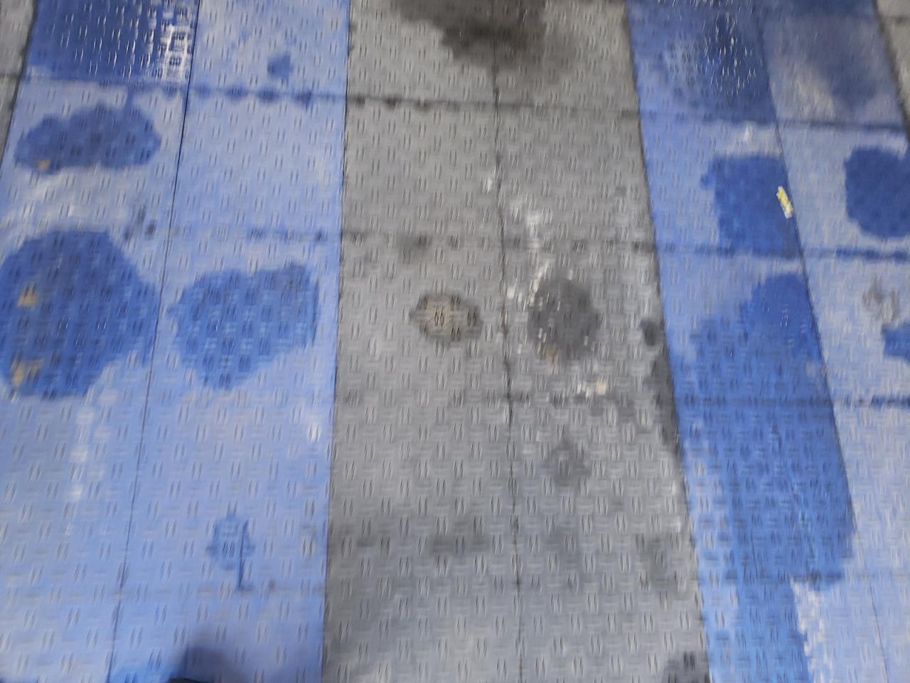 2007 Honda Pilot Exl VIN: 5FNYF28517B004017 Lot: 61941994