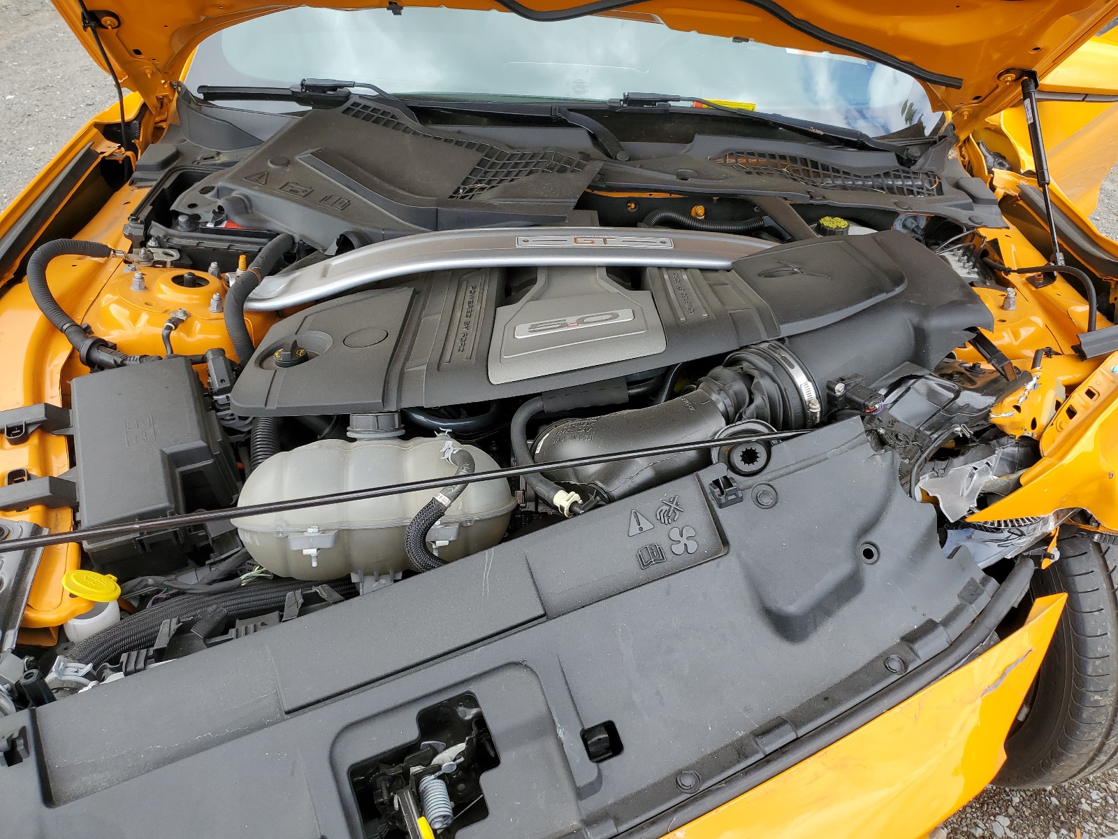 1FA6P8CF6J5103339 2018 Ford Mustang Gt