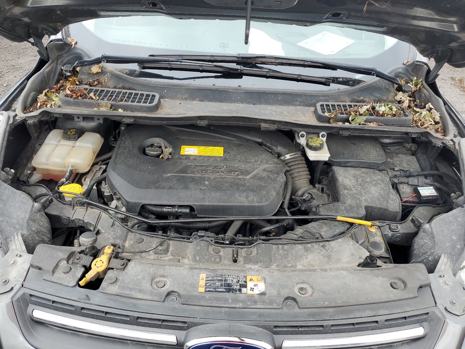 1FMCU0GX9GUC68631 2016 Ford Escape Se