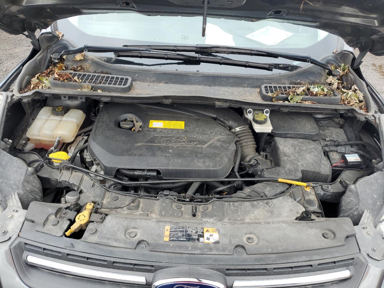 2016 Ford Escape Se VIN: 1FMCU0GX9GUC68631 Lot: 65339534