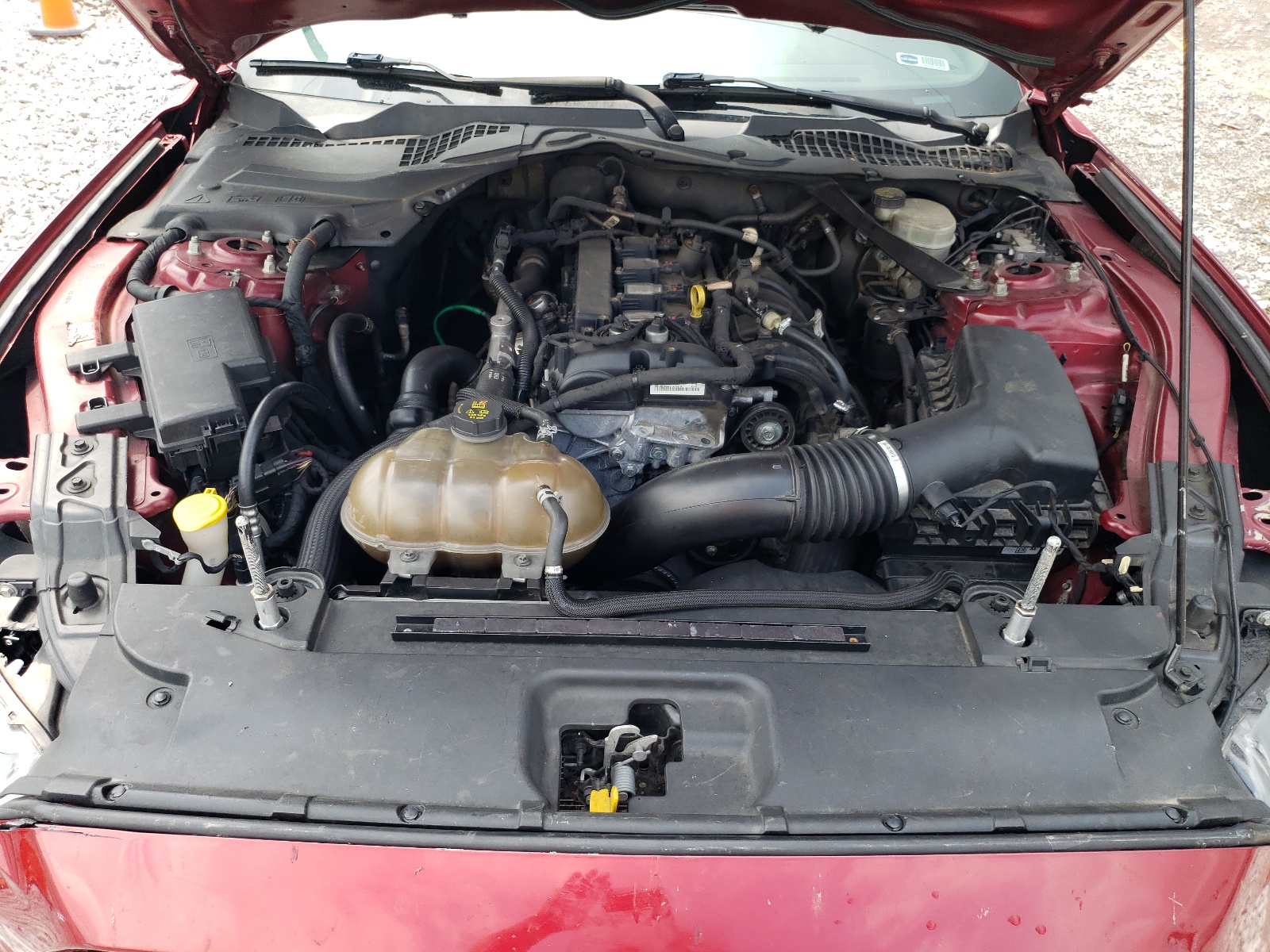 1FA6P8TH0F5337503 2015 Ford Mustang