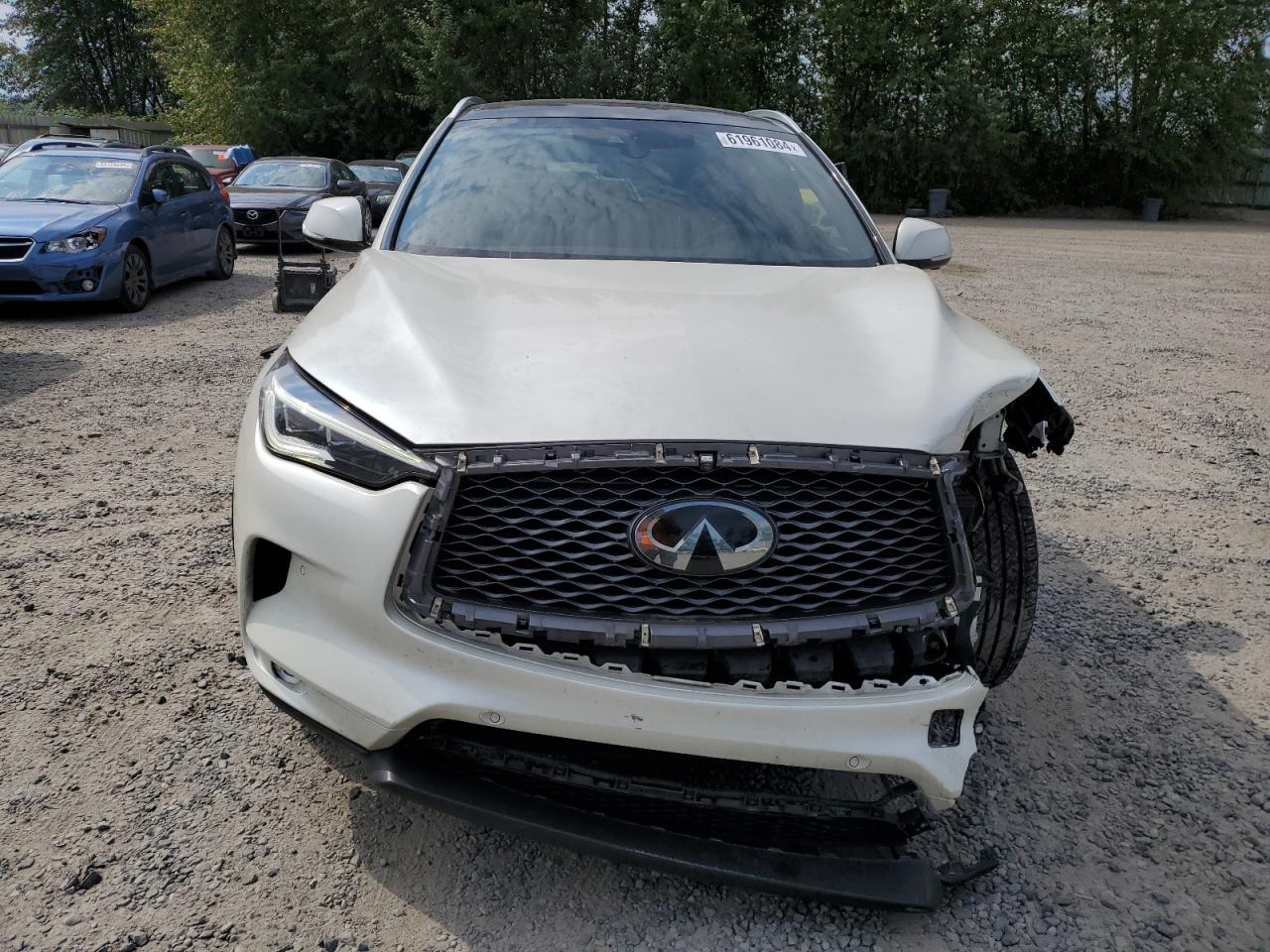 2019 Infiniti Qx50 Essential VIN: 3PCAJ5M33KF101105 Lot: 61961084