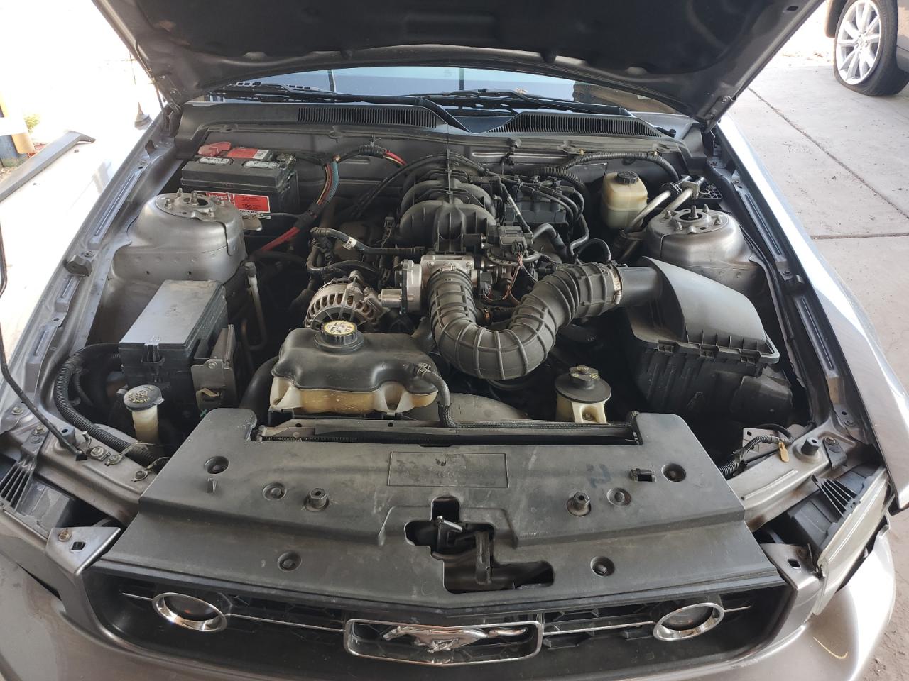 2007 Ford Mustang VIN: 1ZVFT80N375218259 Lot: 62914274