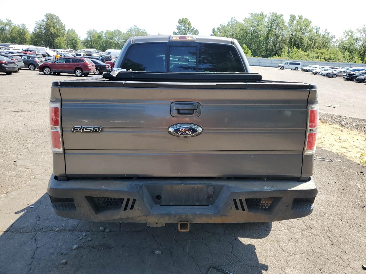 2013 Ford F150 Supercrew VIN: 1FTFW1ETXDFB37760 Lot: 62893764