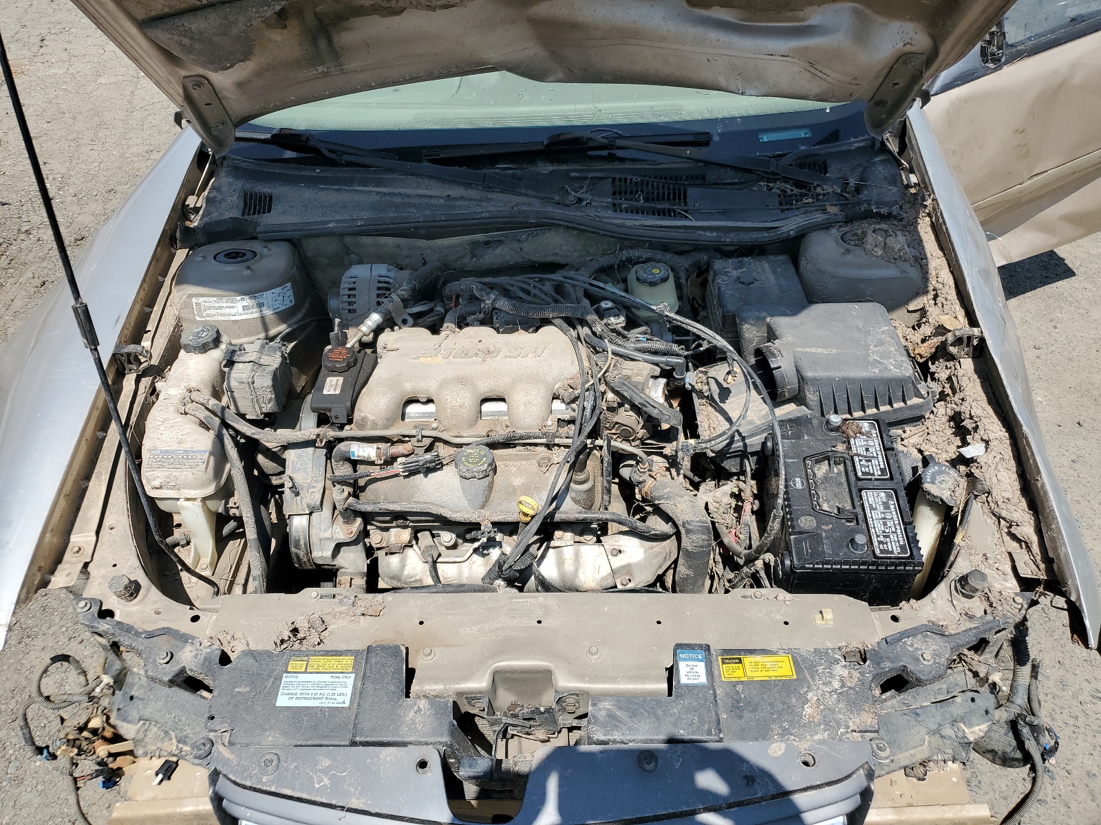 1G1ND52J816148384 2001 Chevrolet Malibu