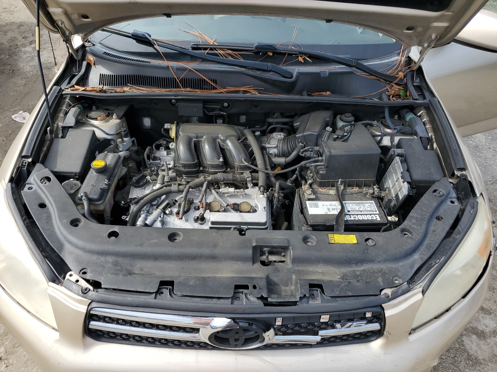 JTMZK31V086012977 2008 Toyota Rav4 Limited