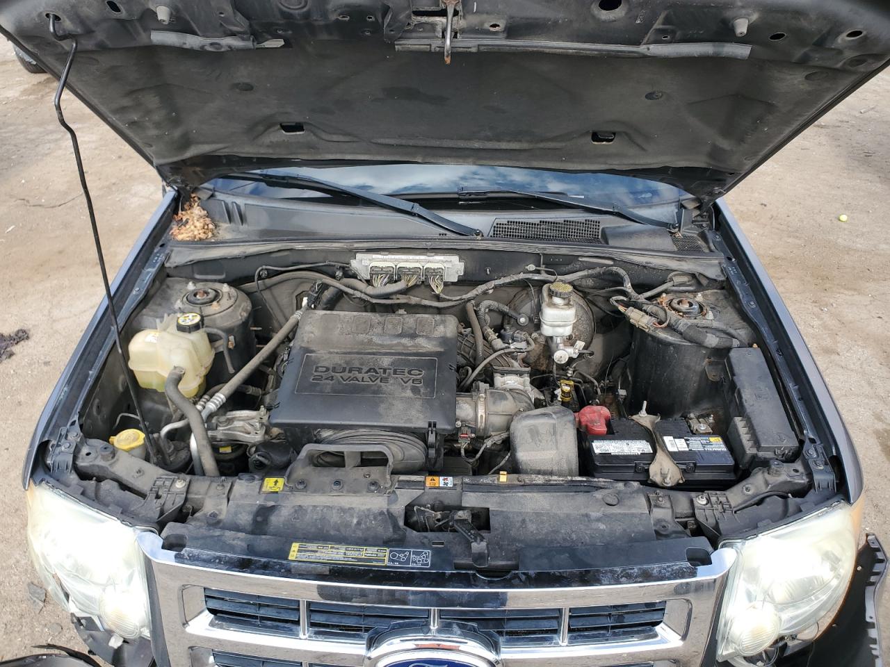 2010 Ford Escape Xlt VIN: 1FMCU0DG8AKD32097 Lot: 64723784