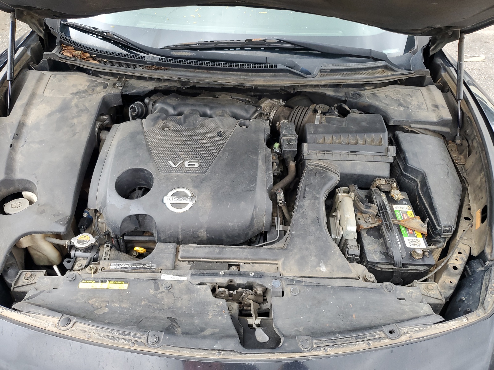 1N4AA5AP2AC816658 2010 Nissan Maxima S