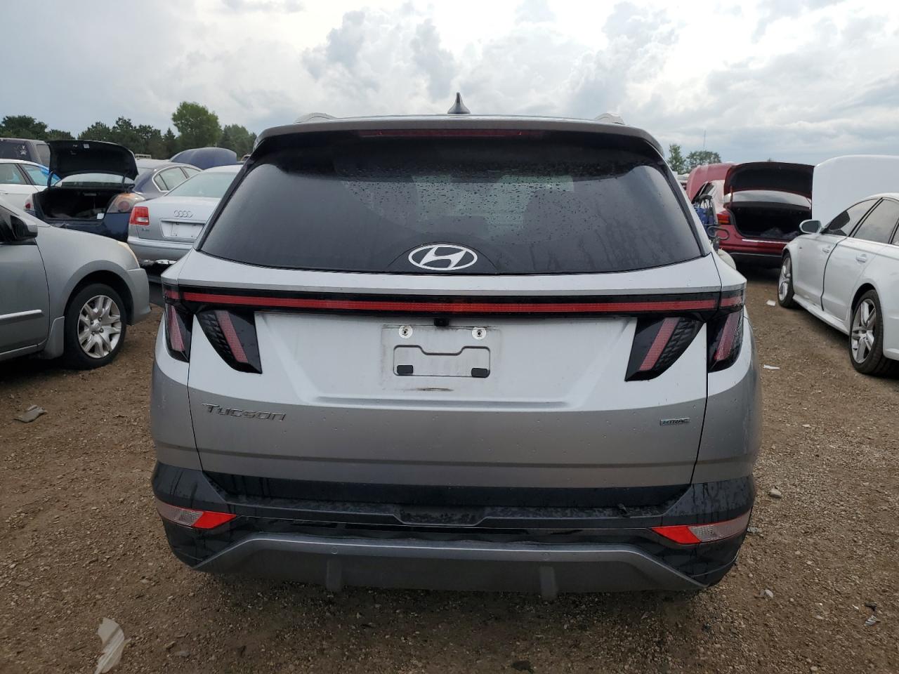 2022 Hyundai Tucson Limited VIN: 5NMJECAE6NH044531 Lot: 65391774