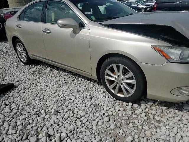 2010 Lexus Es 350 VIN: JTHBK1EG9A2392818 Lot: 62683584