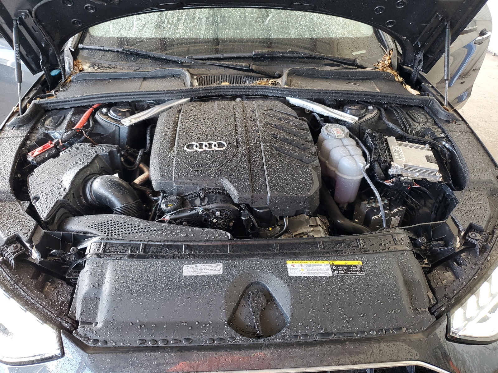 WAUABAF44PN009924 2023 Audi A4 Premium 40