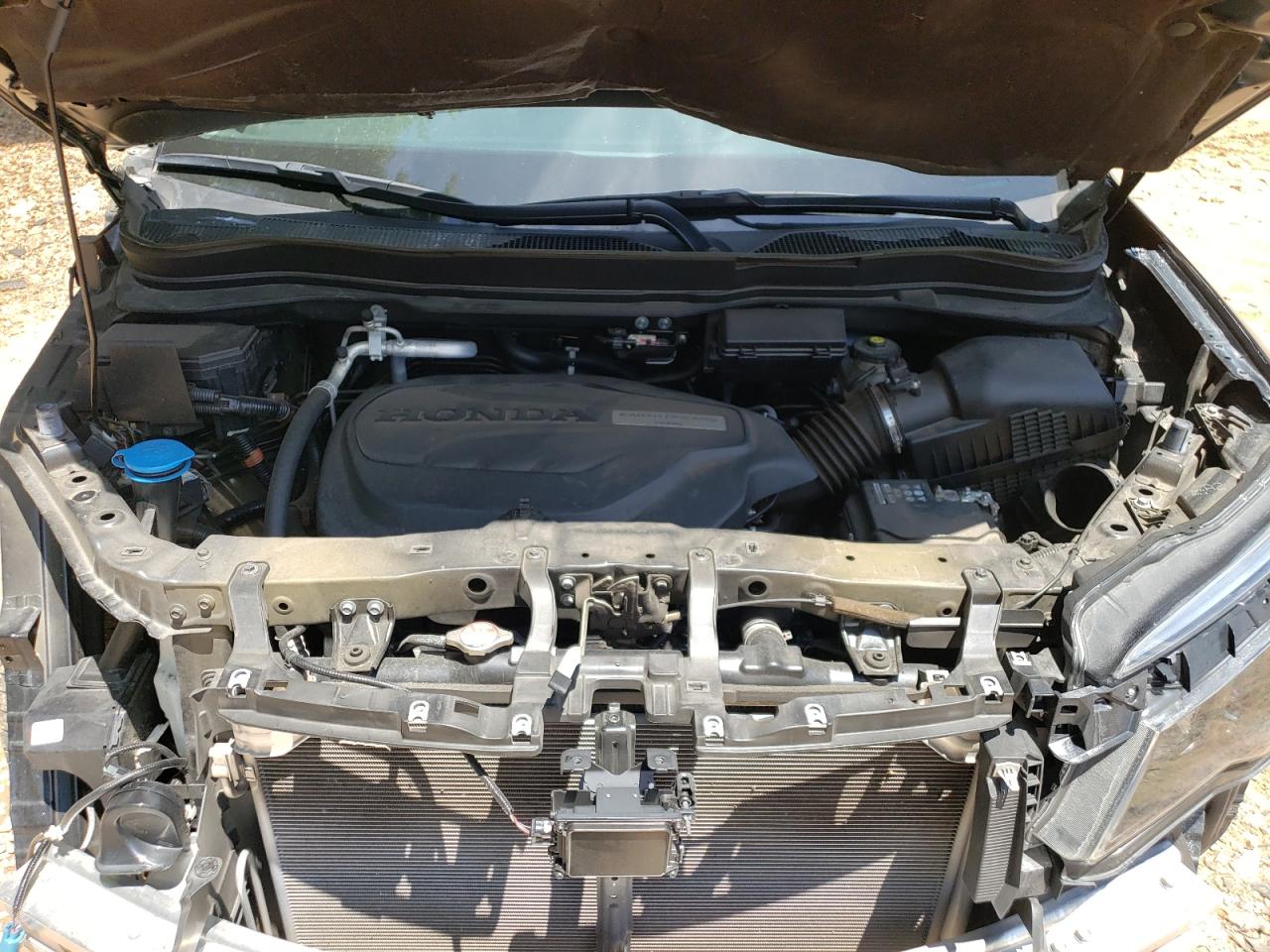 2019 Honda Pilot Exl VIN: 5FNYF5H50KB029680 Lot: 62709944