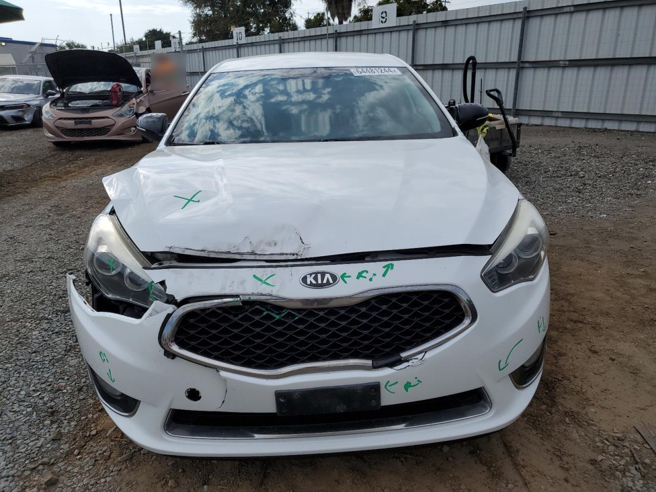2014 Kia Cadenza Premium VIN: KNALN4D72E5166699 Lot: 64481244