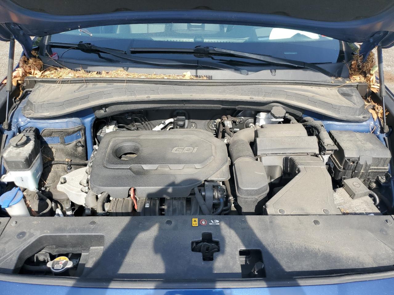 2020 Hyundai Santa Fe Limited VIN: 5NMS5CAD0LH285638 Lot: 62239704