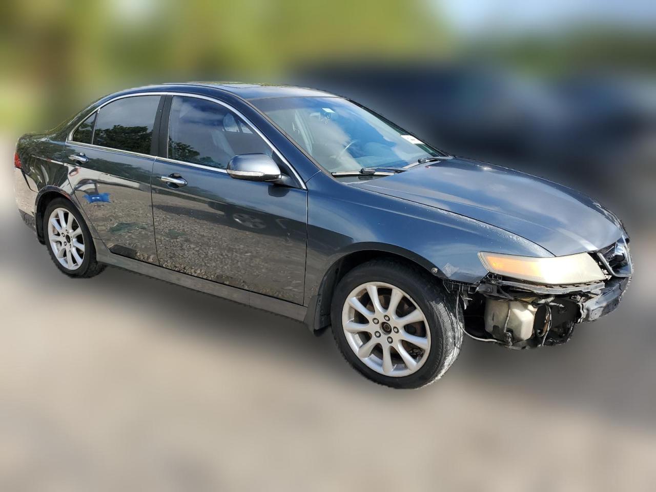 2006 Acura Tsx VIN: JH4CL96896C022994 Lot: 64440744