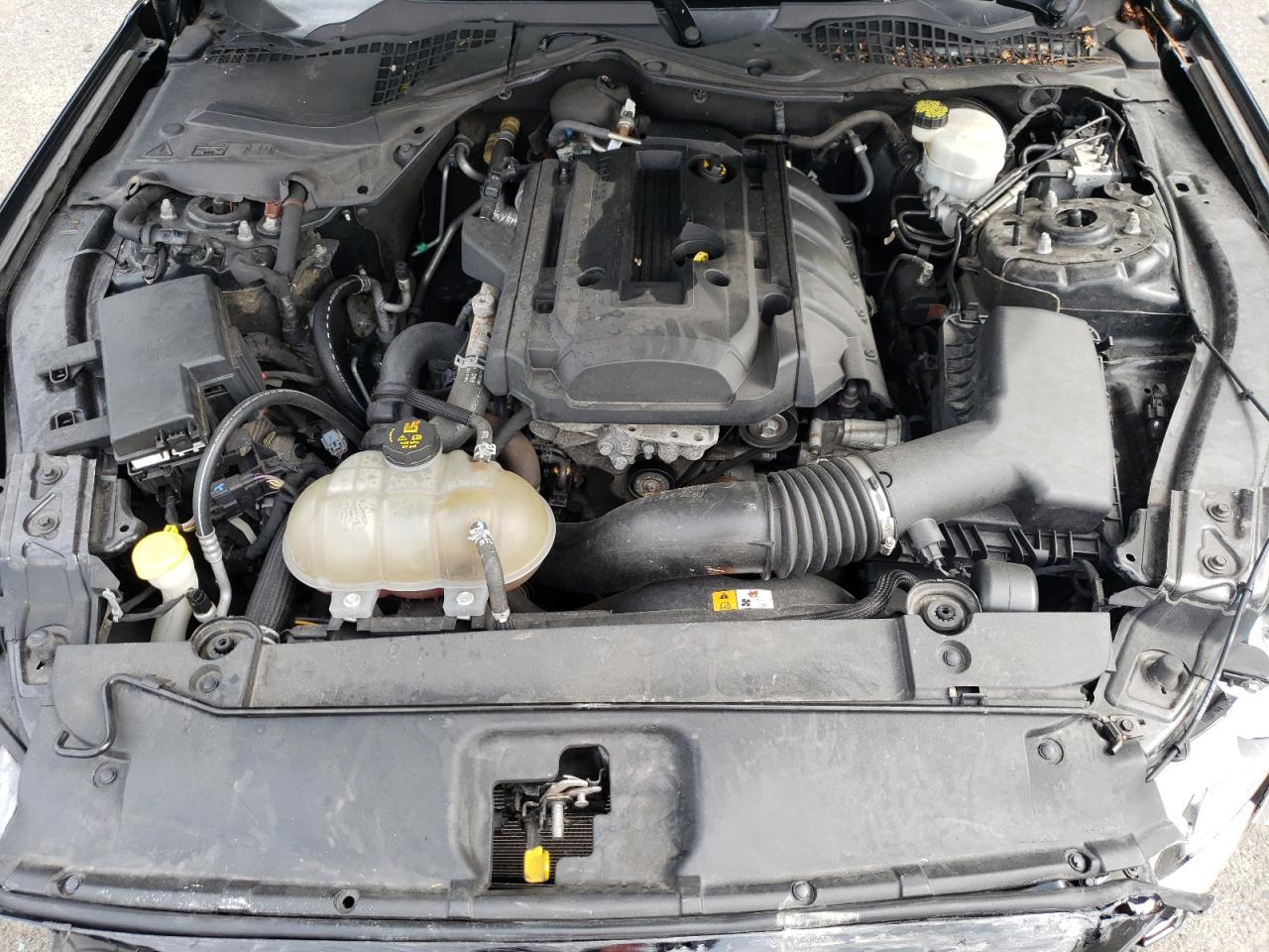 2017 Ford Mustang VIN: 1FA6P8TH6H5224691 Lot: 62350064