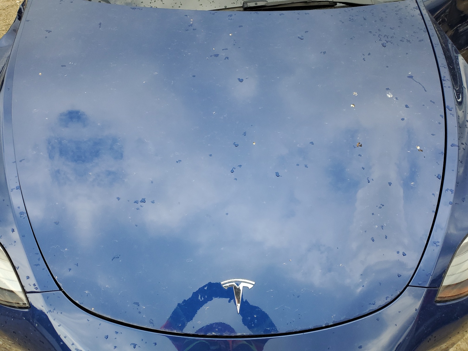 2023 Tesla Model Y vin: 7SAYGAEE5PF695051