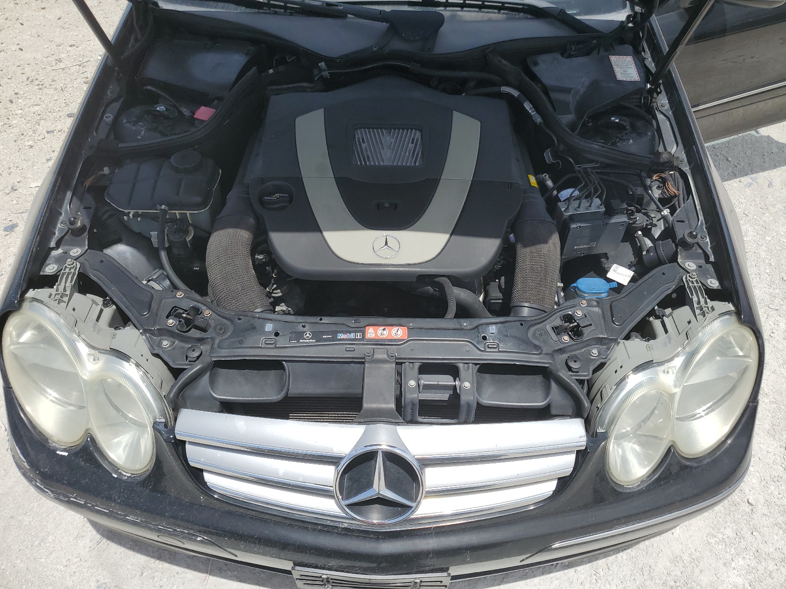 WDBTJ56H47F221580 2007 Mercedes-Benz Clk 350