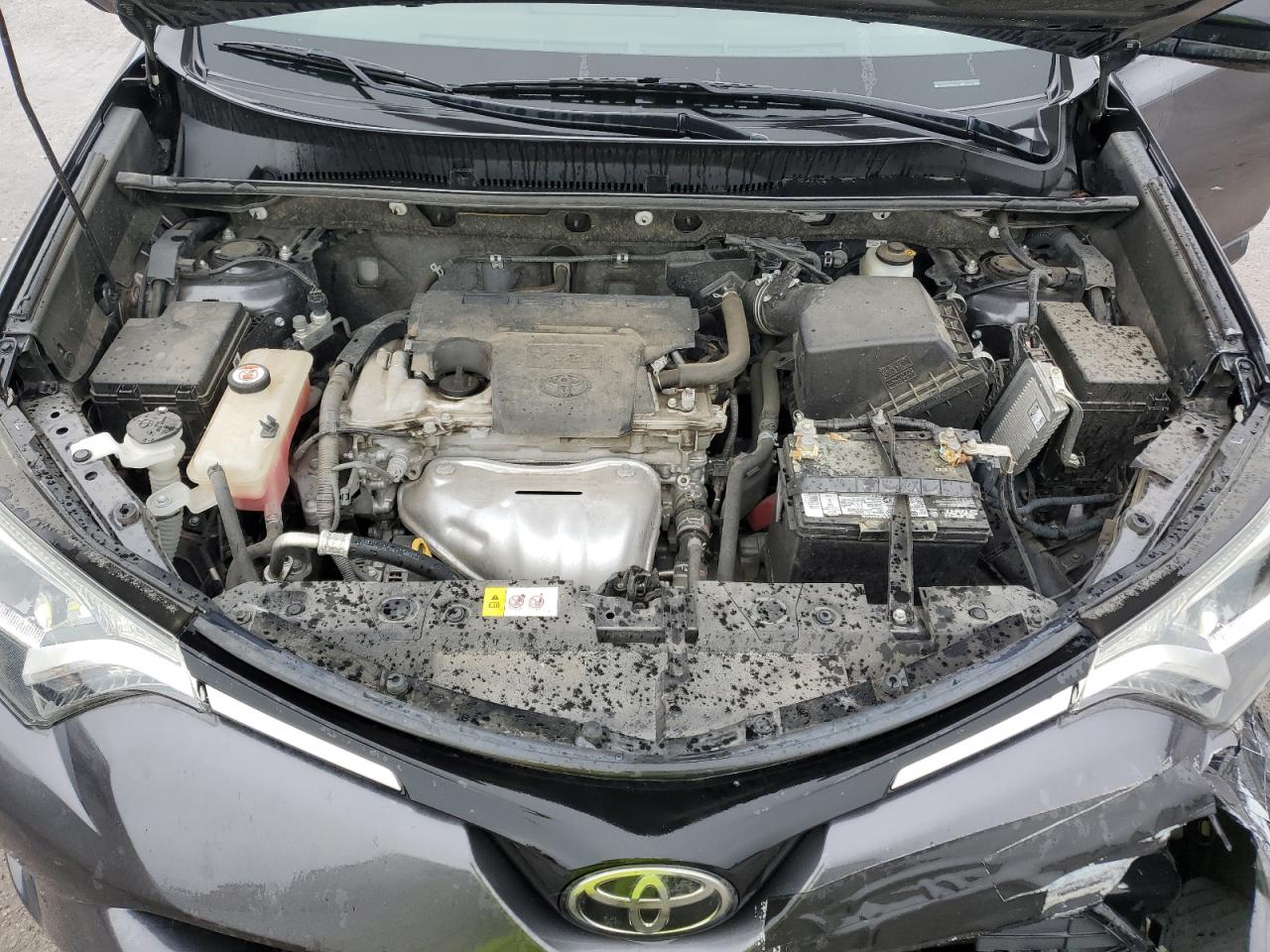 2017 Toyota Rav4 Le VIN: JTMZFREV5HJ125998 Lot: 61454314