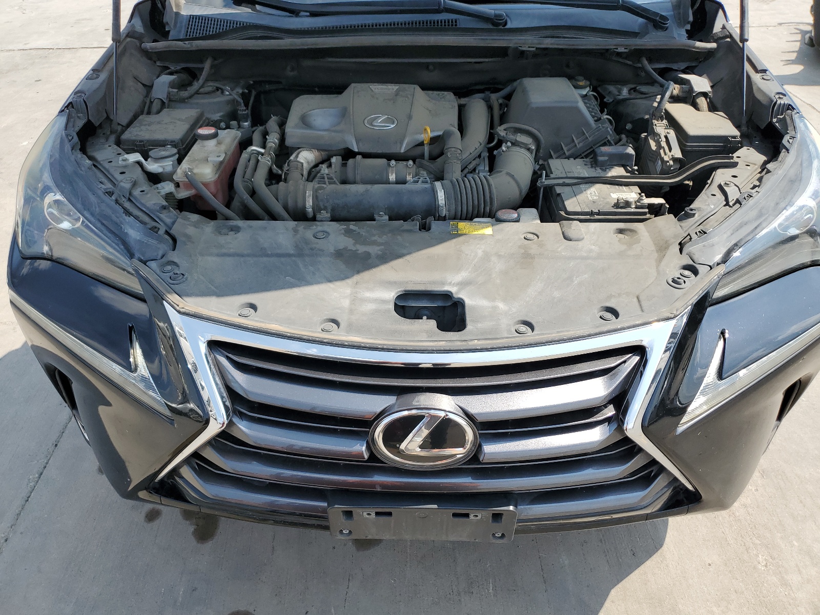 JTJYARBZ0F2011025 2015 Lexus Nx 200T