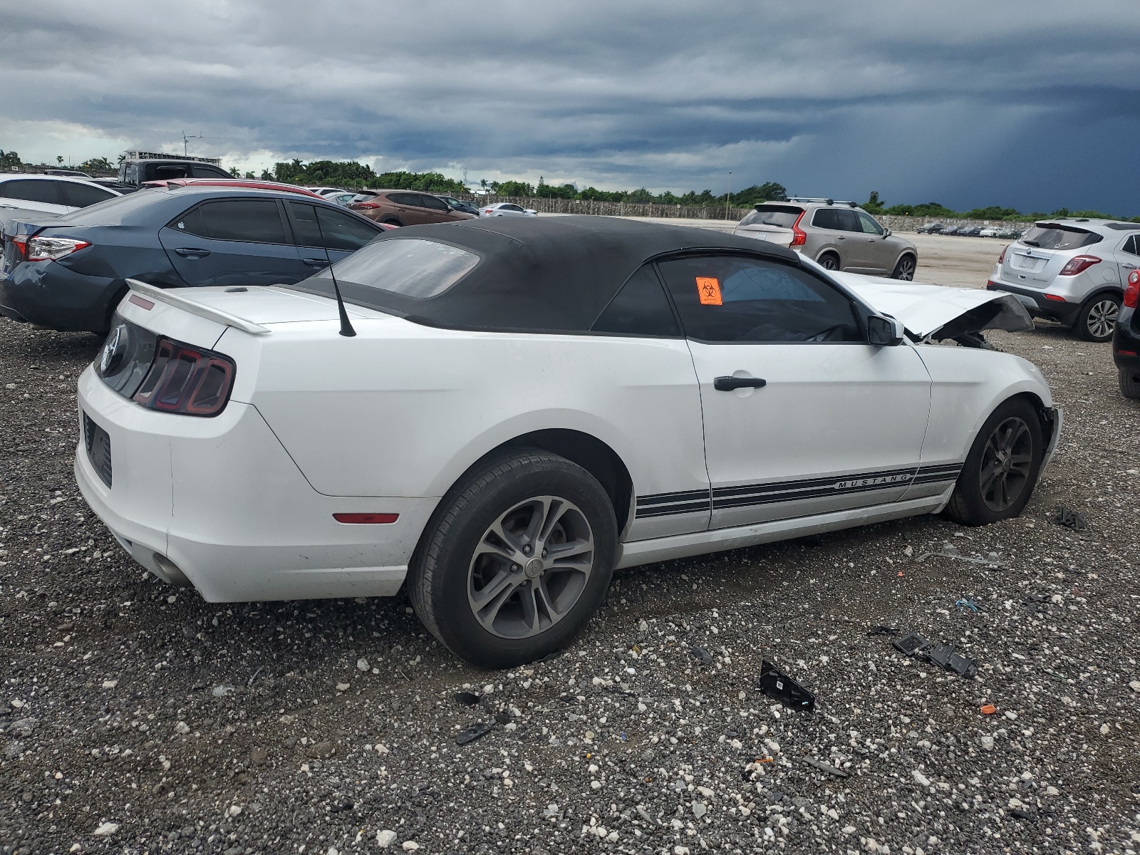 2014 Ford Mustang vin: 1ZVBP8EM8E5311116