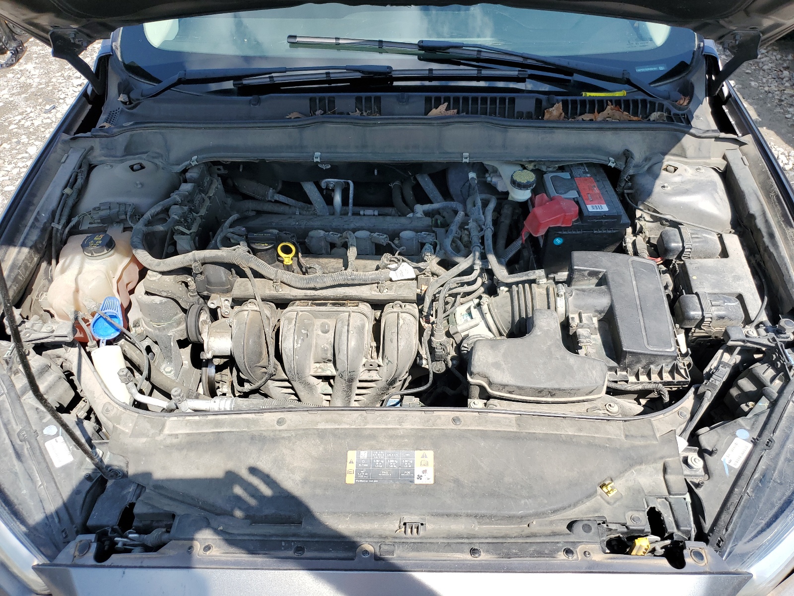 3FA6P0H75DR302497 2013 Ford Fusion Se