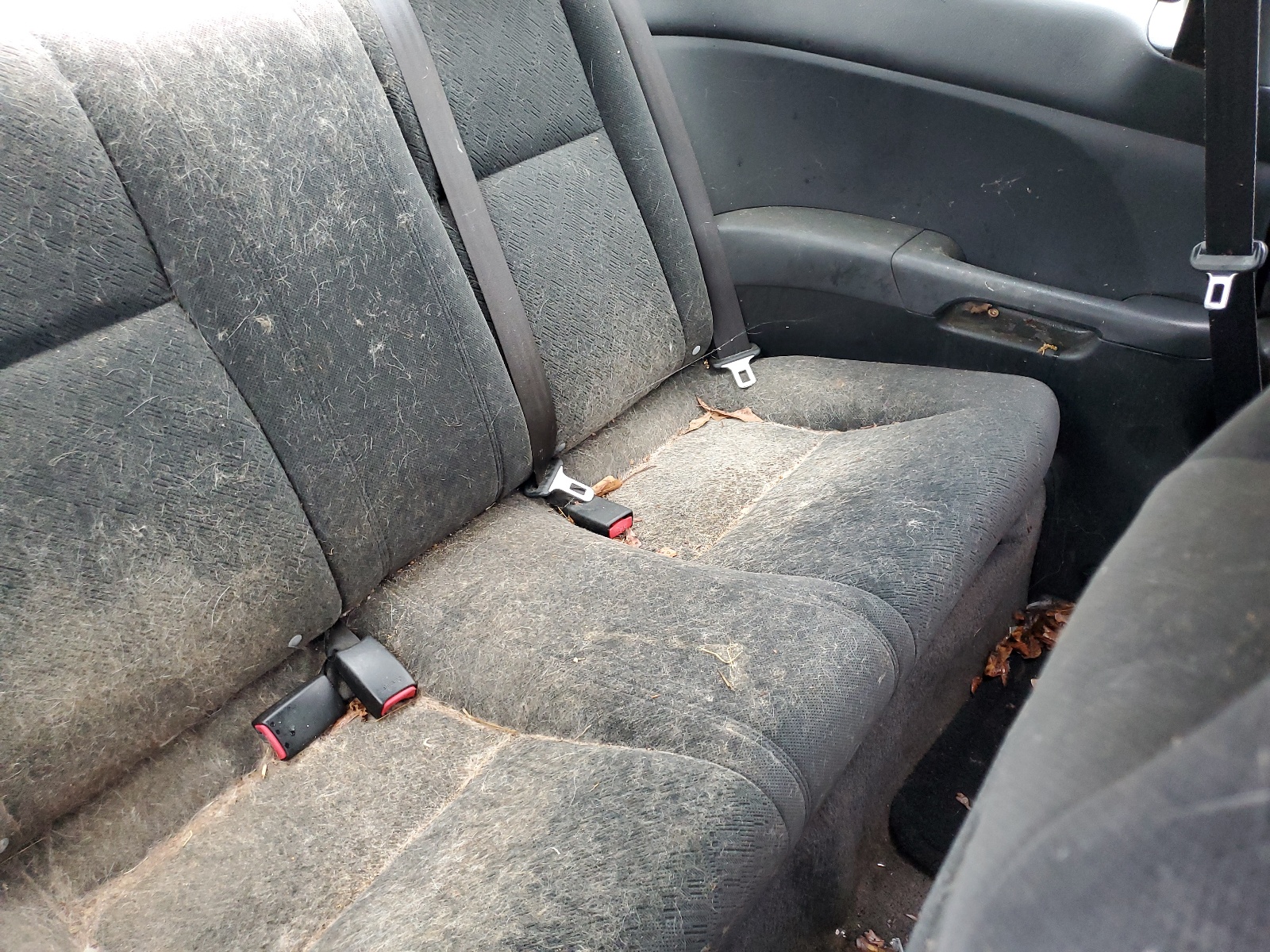 1HGEM22503L083948 2003 Honda Civic Lx