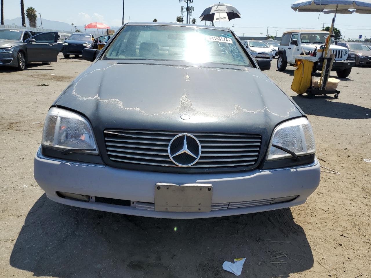 1995 Mercedes-Benz S 600 VIN: WDBGA76E1SA232898 Lot: 64153574