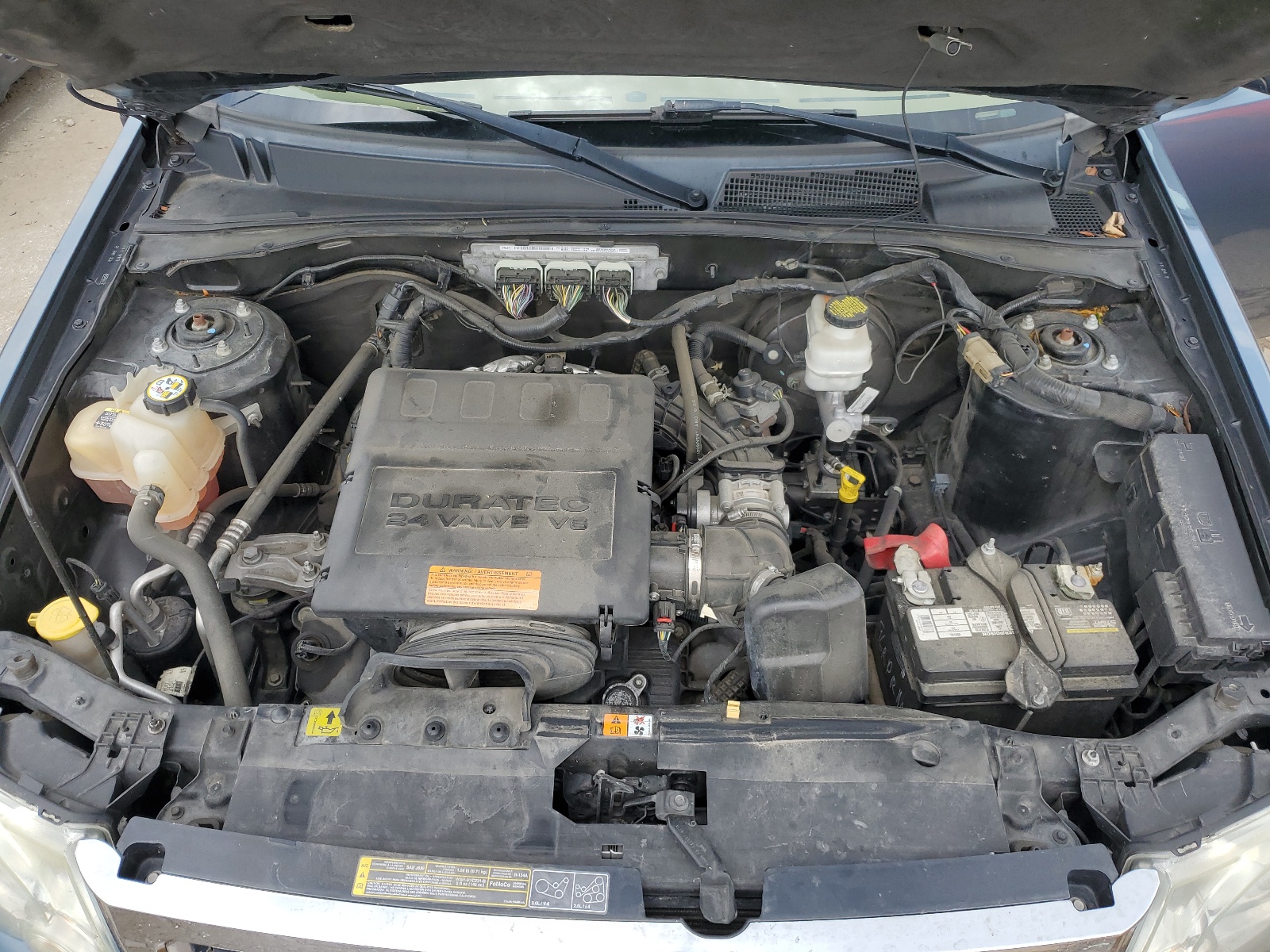 1FMCU0DG7BKB24617 2011 Ford Escape Xlt