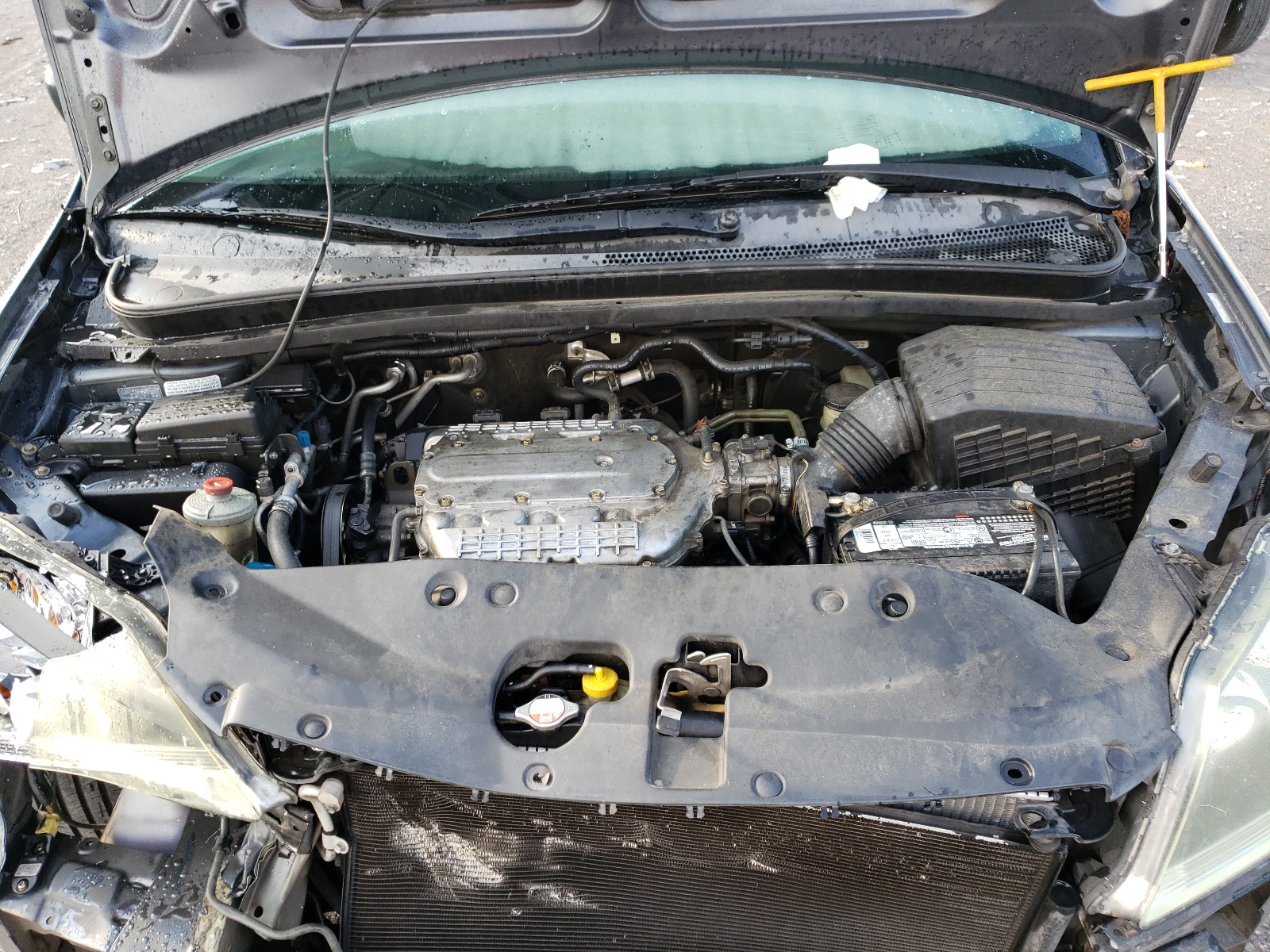 5FNRL38435B424451 2005 Honda Odyssey Ex