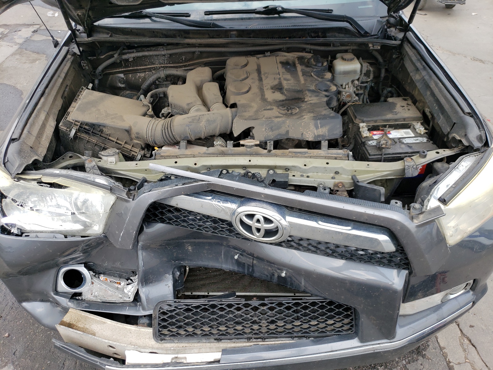 JTEBU5JR2A5017972 2010 Toyota 4Runner Sr5