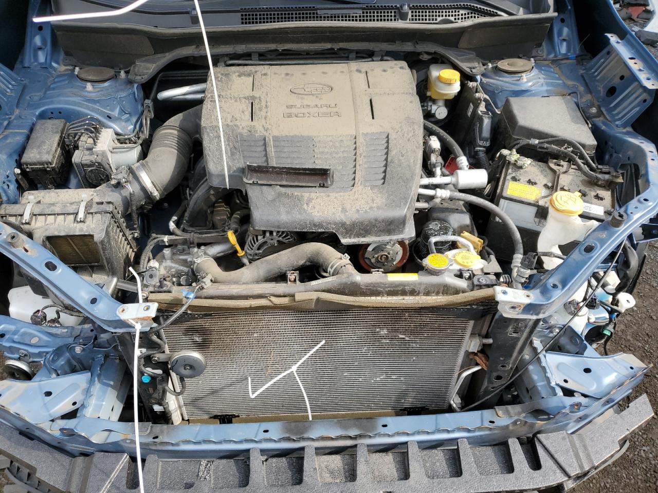 2019 Subaru Forester VIN: JF2SKACC4KH409560 Lot: 63113674