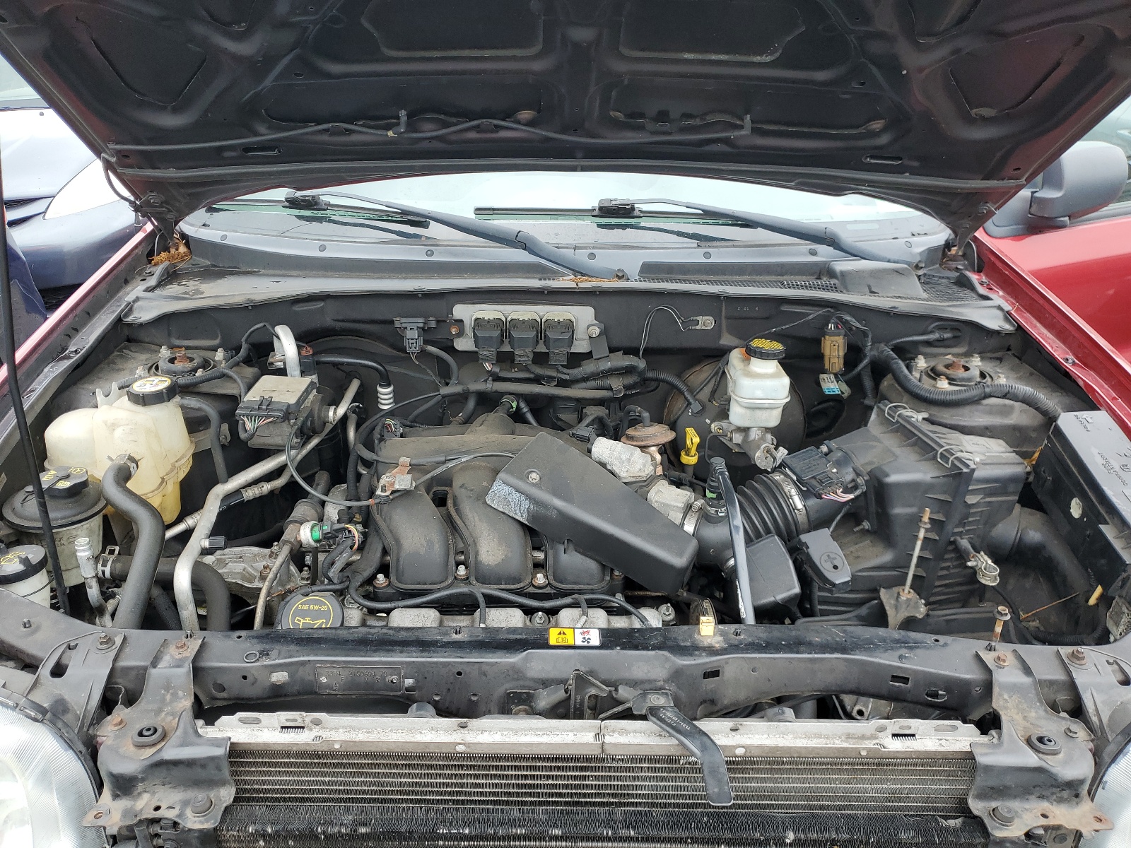 1FMCU03136KB10362 2006 Ford Escape Xlt