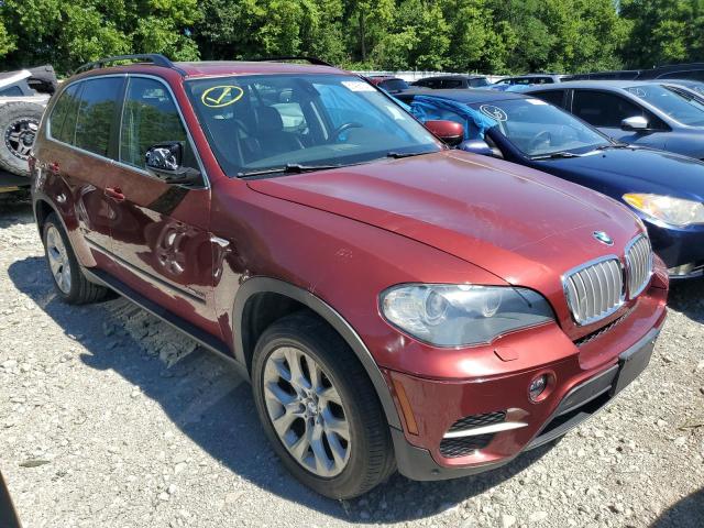 Паркетники BMW X5 2013 Бордовий