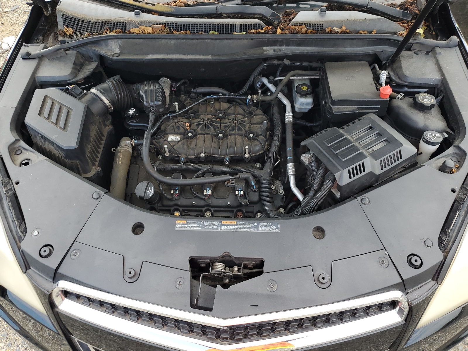 2CNFLPEY5A6305667 2010 Chevrolet Equinox Lt