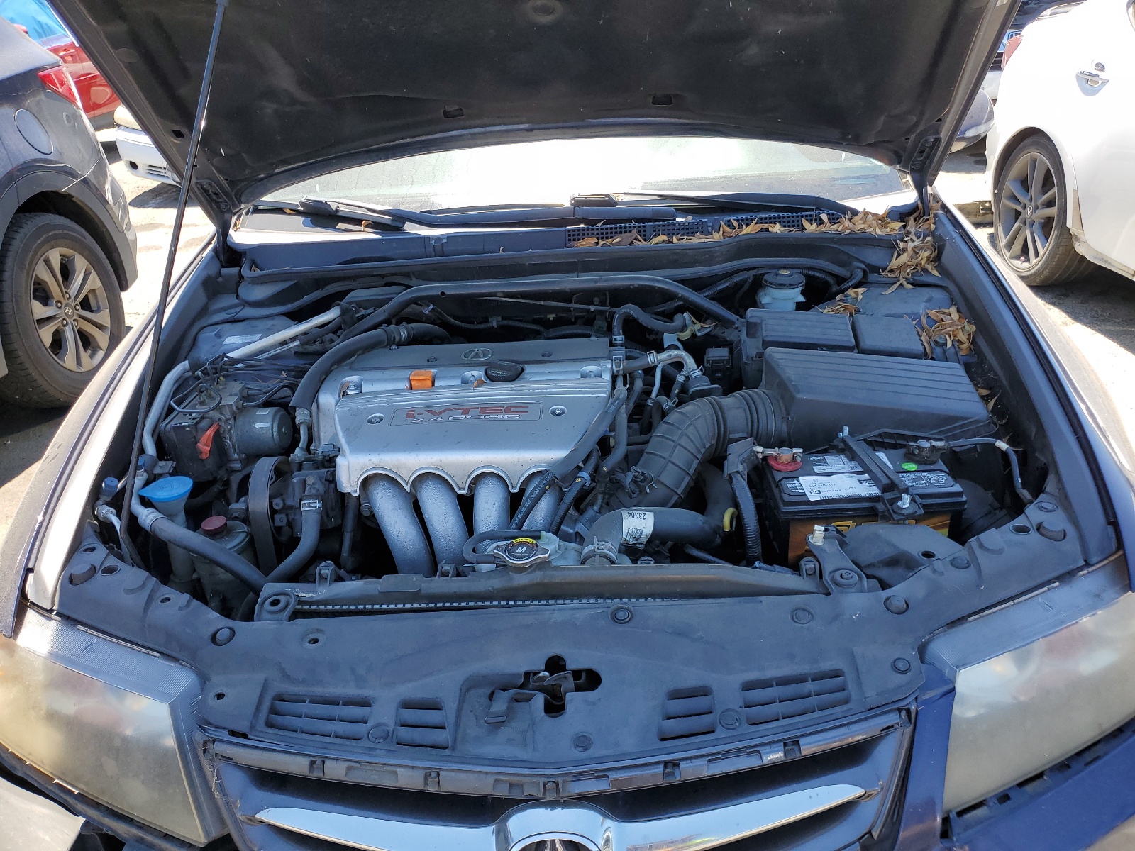 JH4CL96926C031240 2006 Acura Tsx