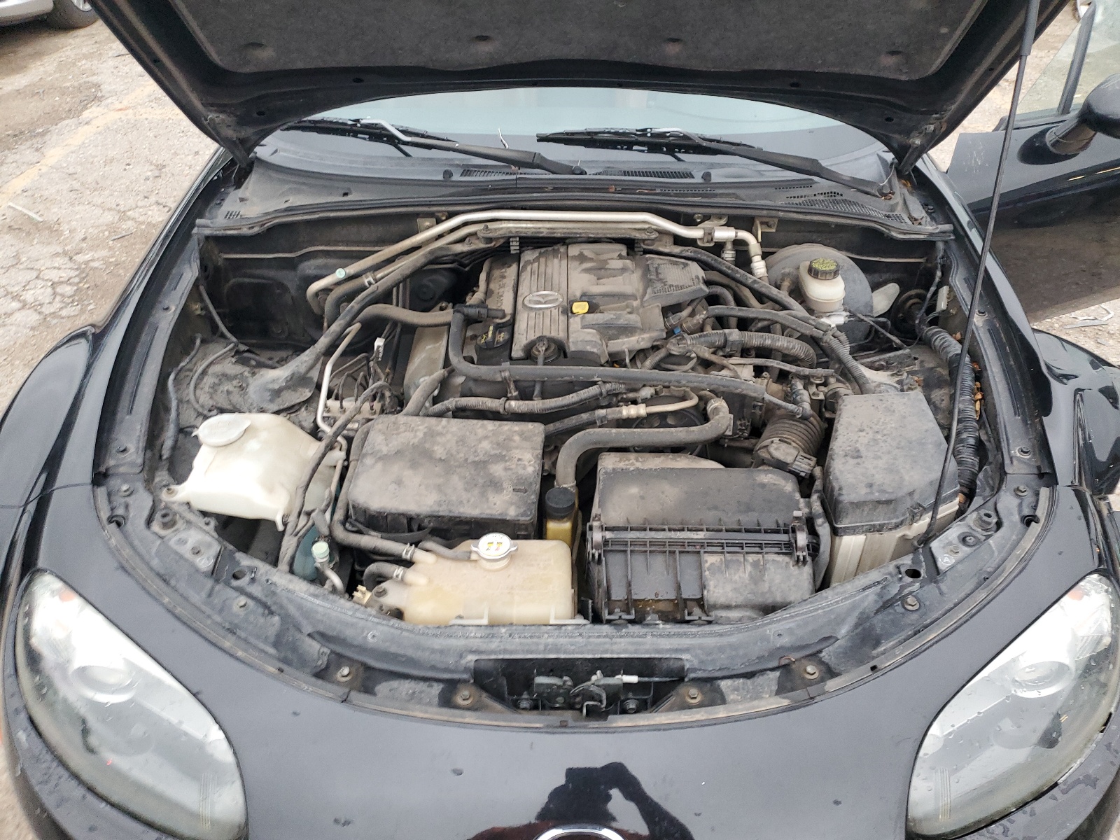 JM1NC25F260106125 2006 Mazda Mx-5 Miata