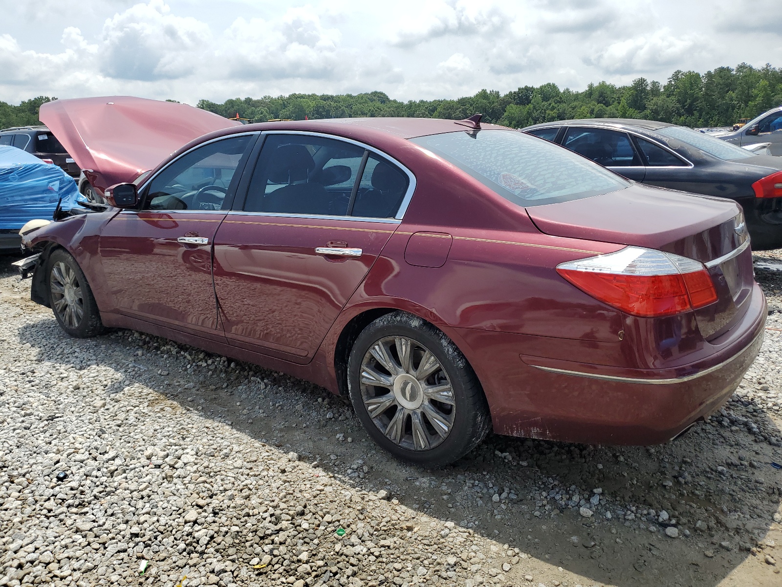 KMHGC46E59U051317 2009 Hyundai Genesis 3.8L