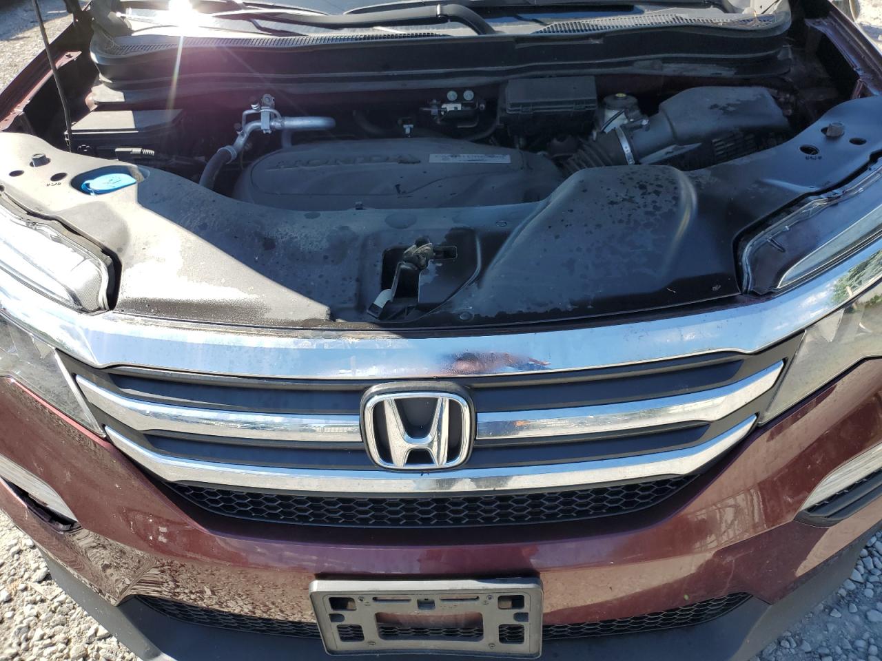 2018 Honda Pilot Exl VIN: 5FNYF6H53JB012294 Lot: 61447014