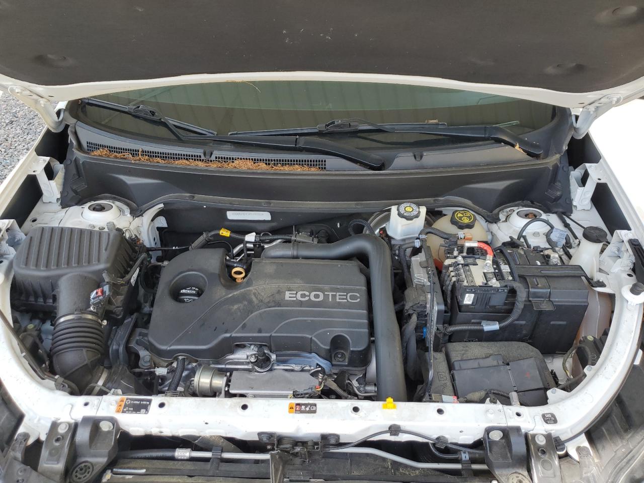 2019 Chevrolet Equinox Ls VIN: 3GNAXHEV1KS558185 Lot: 64143564