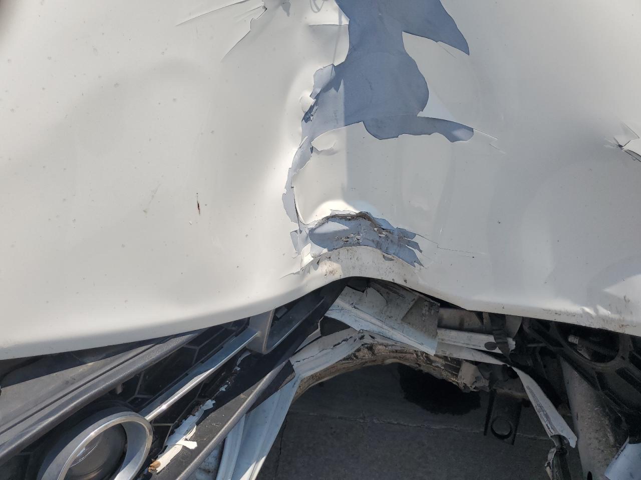 2008 Ford Mustang VIN: 1ZVHT80N485154288 Lot: 63914134