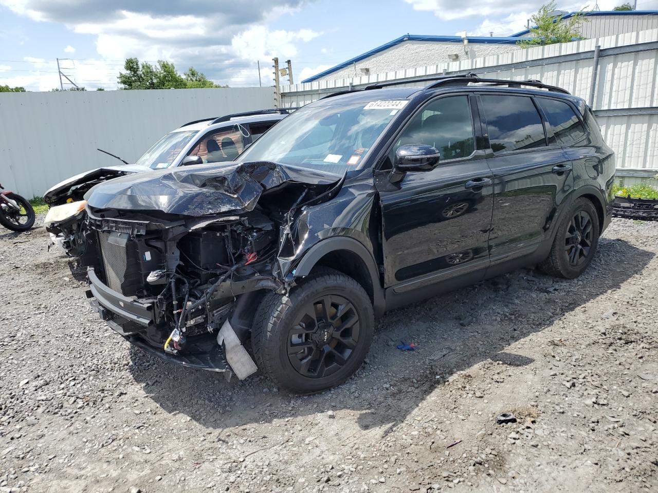 2023 Kia Telluride Sx VIN: 5XYP5DGC9PG331686 Lot: 61422244