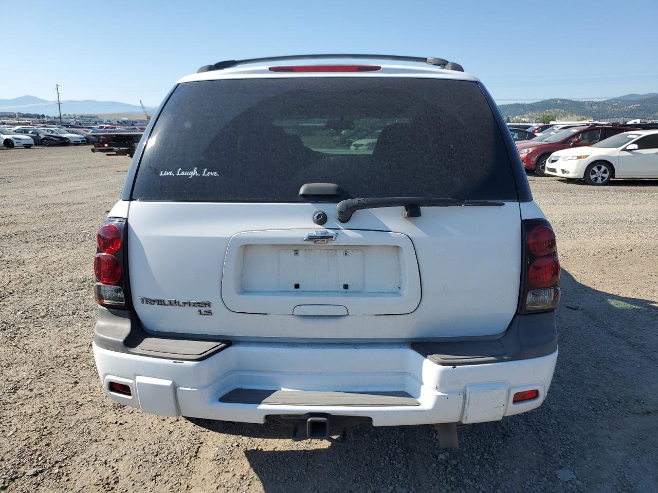 2008 Chevrolet Trailblazer Ls VIN: 1GNDT13S182232304 Lot: 61852314