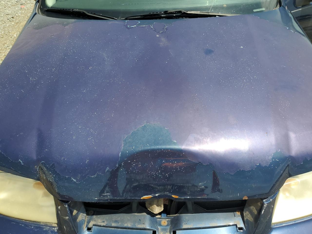 2003 Volkswagen Jetta Gl Tdi VIN: 3VWRP69M03M055834 Lot: 60432494