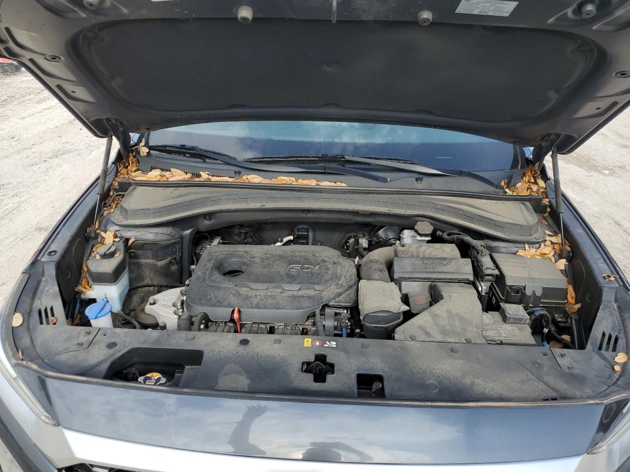 2020 Hyundai Santa Fe Sel VIN: 5NMS33AD2LH279507 Lot: 63313184