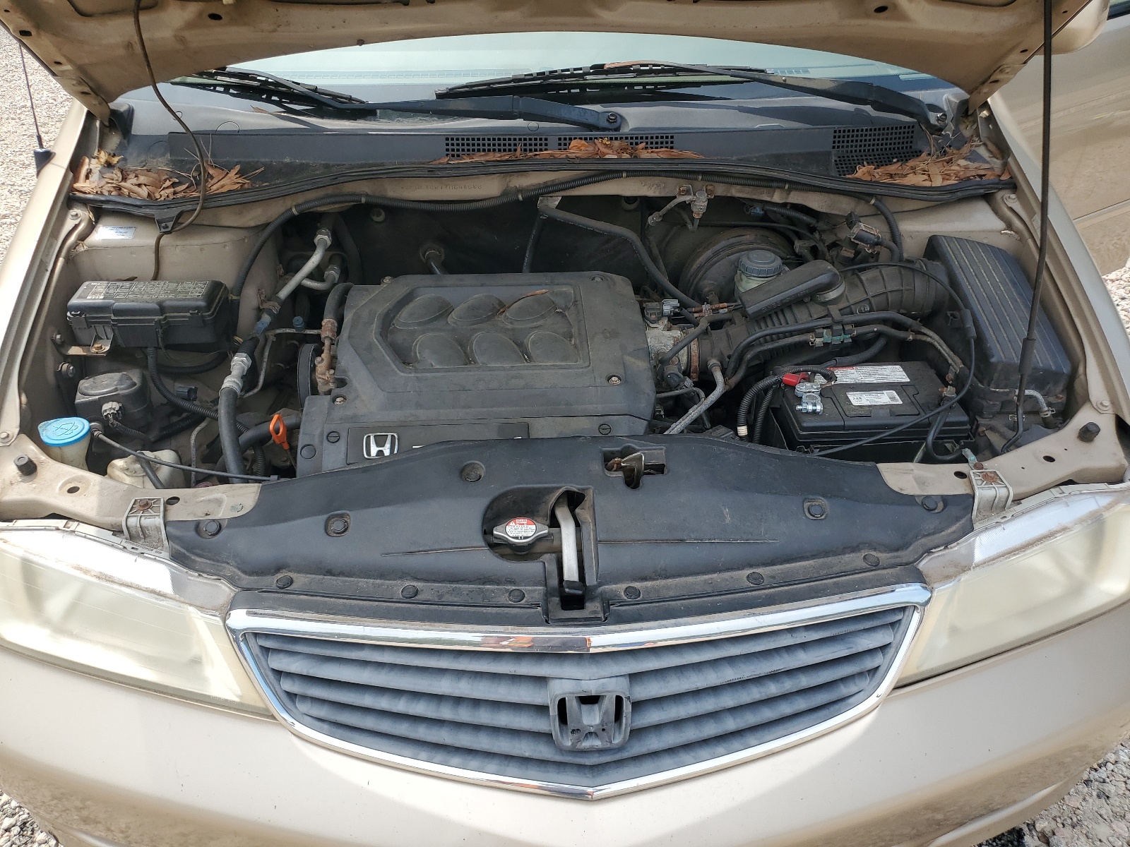 2HKRL1867YH544586 2000 Honda Odyssey Ex