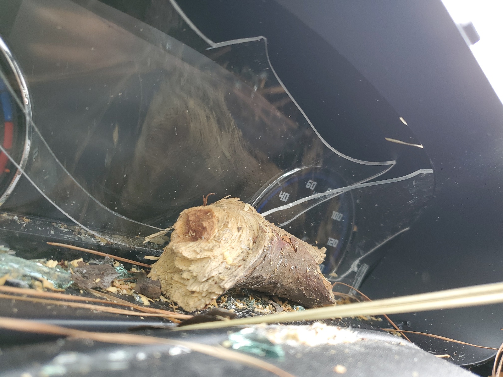 3FMCR9C68PRD21104 2023 Ford Bronco Sport Outer Banks