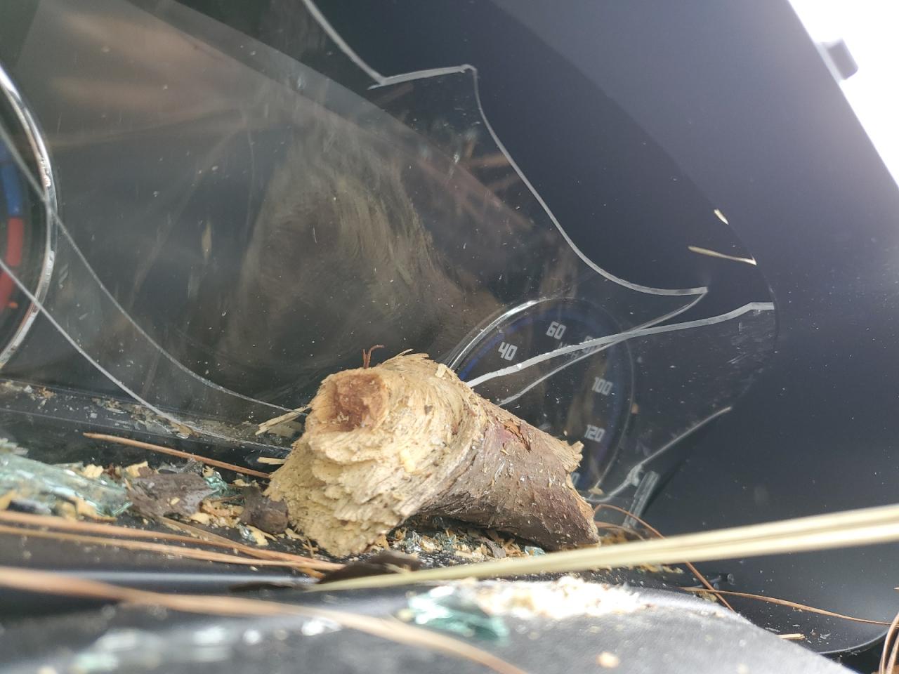 2023 Ford Bronco Sport Outer Banks VIN: 3FMCR9C68PRD21104 Lot: 63713554